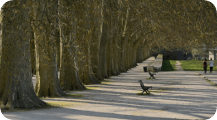 Secteur Mairies et Collectivités